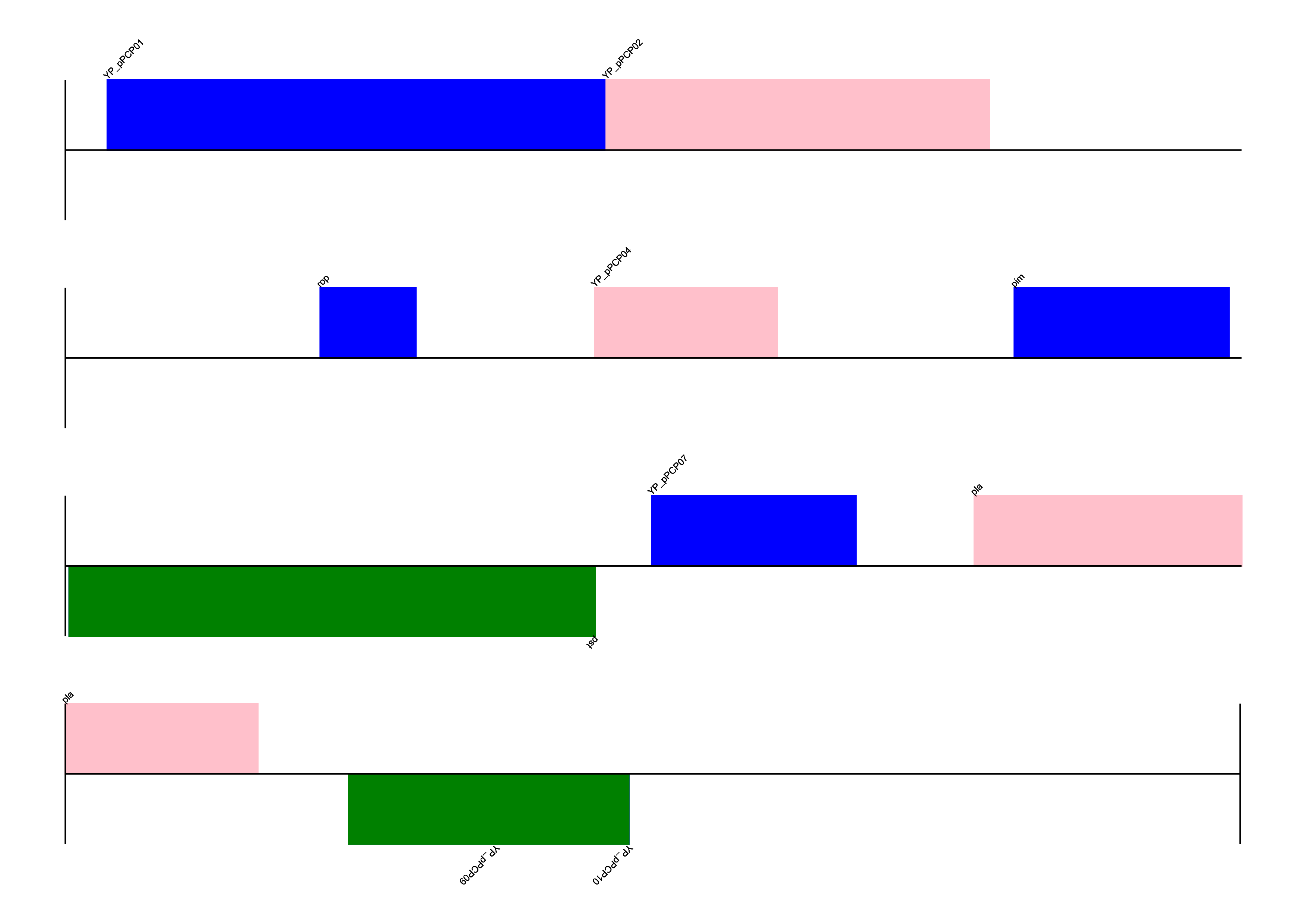 plasmid_linear.png