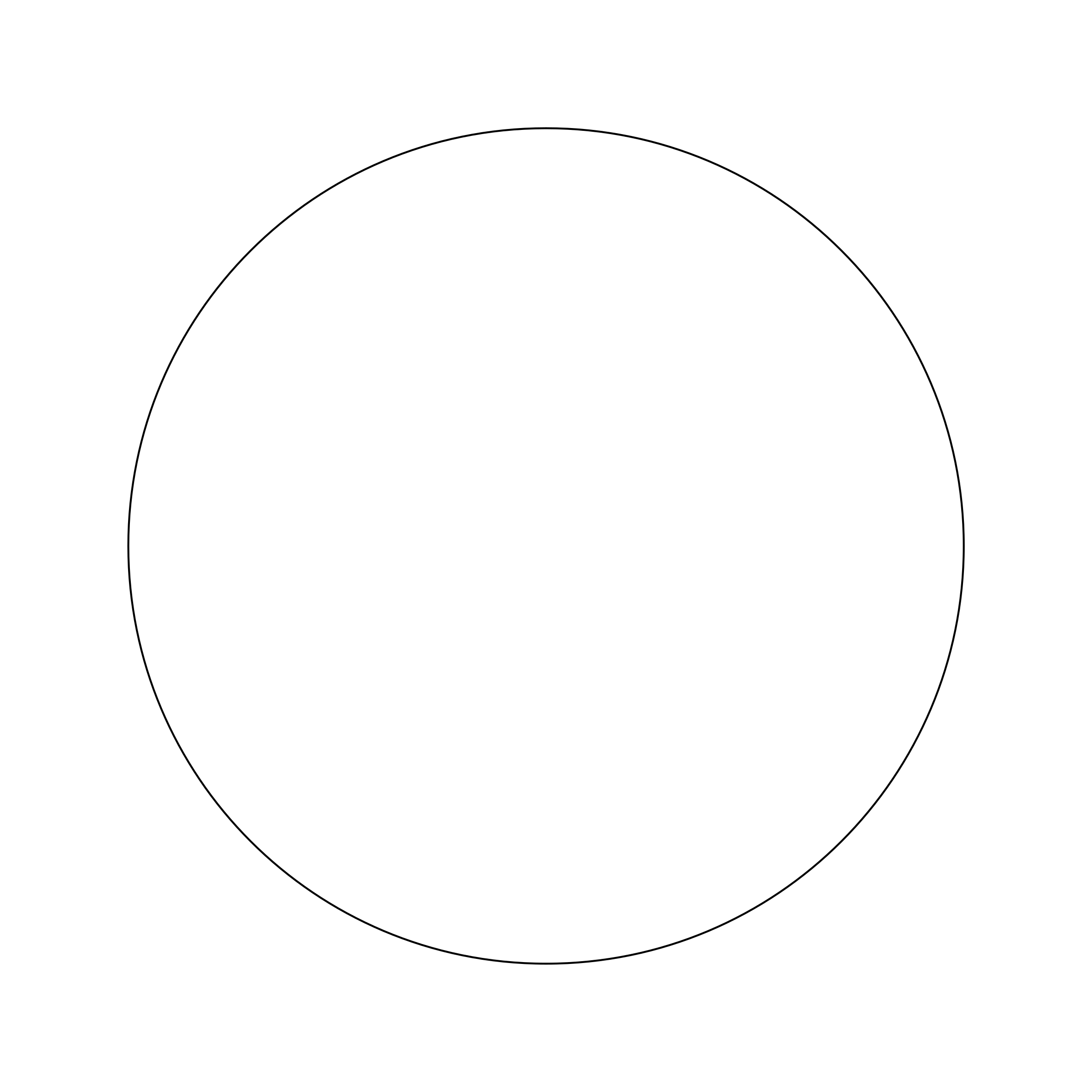 plasmid_circular.png